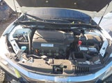 Honda Accord Ex-L V6 1HGCR3F02HA002948 photo