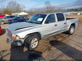 Dodge Dakota Slt 1B7HL48N22S636444 fotografie