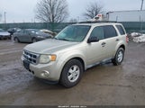 Ford Escape Xlt 1FMCU0D71AKA95355 снимка
