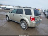 Ford Escape Xlt 1FMCU0D71AKA95355 снимка