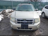 Ford Escape Xlt 1FMCU0D71AKA95355 снимка