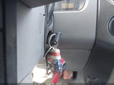 Miniaturka zdjęcia 11