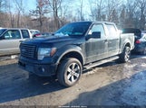 Ford F-150 Fx4 1FTFW1EF9CKE14477 снимка