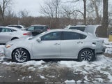 Nissan Altima 2.5/2.5 S/2.5 Sl/2.5 Sr/2.5 Sv 1N4AL3AP8GC226150 fotografie