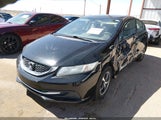 Miniaturka zdjęcia 2