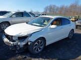 Honda Accord Ex-L V6 1HGCR3F06HA022541 photo