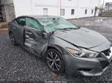 Nissan Maxima 3.5 Sv 1N4AA6AP0HC445919 снимка