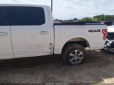 Ford F-150 Xlt 1FTEW1E51LFA24663 снимка
