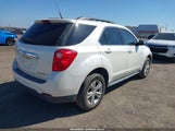 Chevrolet Equinox 1Lt 2GNALDEK8C1246601 снимка
