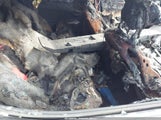 Dodge Avenger R/T 1B3CC5FB9AN177744 снимка