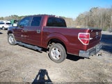 Ford F-150 Fx2 Sport/Harley-Davidson/King Ranch/Lariat/Platinum/Xl/Xlt 1FTFW1CV9AFD83487 photo