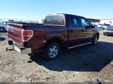 Ford F-150 Fx2 Sport/Harley-Davidson/King Ranch/Lariat/Platinum/Xl/Xlt 1FTFW1CV9AFD83487 photo