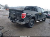 Ford F-150 Xl/Xlt 1FTEW1E86AFD52412 снимка