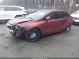 Honda Civic Lx 2HGFA1F53AH535161 снимка