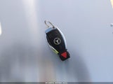 Miniaturka zdjęcia 11