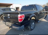 Ford F-150 Xlt 1FTFW1CF7DKD94136 снимка