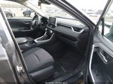 Toyota Rav4 Hybrid Xle 2T3RWRFV1KW018180 fotografie