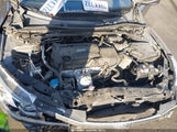Honda Accord 1HGCR2F50GA241032 photo