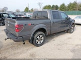 Ford F-150 Fx4 1FTFW1ET3BKE12809 снимка