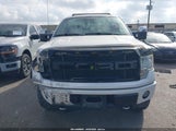 Ford F-150 Fx4/Harley-Davidson/King Ranch/Lariat/Platinum/Xl/Xlt 1FTFW1EV5AFB45908 fotografie