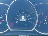 Miniaturka zdjęcia 7