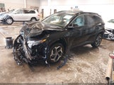 Miniaturka zdjęcia 2