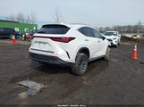 Lexus Nx 350 Premium JTJGGCEZ6S5010988 fotografie