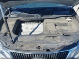 Miniaturka zdjęcia 10