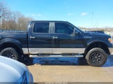 Ford F-150 Fx4/Harley-Davidson/King Ranch/Lariat/Platinum/Xl/Xlt 1FTFW1EV2AFA25774 photo