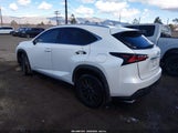 Lexus Nx Nx Turbo JTJYARBZ8H2065384 photo