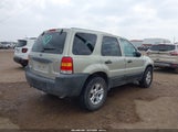 Ford Escape Xlt 1FMYU93155KC96351 снимка
