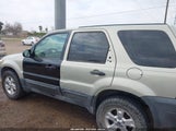 Ford Escape Xlt 1FMYU93155KC96351 снимка