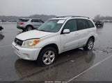 Toyota Rav4 JTEHD20V250068852 fotografie