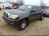 Toyota Tacoma Base V6 3TMLU42N49M028413 снимка