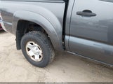 Toyota Tacoma Base V6 3TMLU42N49M028413 снимка