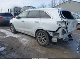 Miniaturka zdjęcia 3