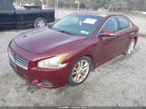 Nissan Maxima 3.5 Sv 1N4AA5APXAC811420 снимка