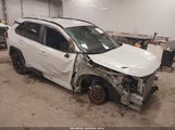 Toyota Rav4 Hybrid Se 2T3T6RFV2RW069204 fotografie