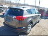 Toyota Rav4 Le JTMBFREV7D5007746 снимка