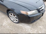 Acura Tsx JH4CL96835C031155 снимка