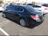 Honda Accord 2.4 Ex-L 1HGCP2F81AA088376 снимка