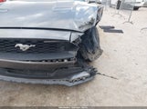 Miniaturka zdjęcia 6