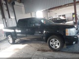 Chevrolet Silverado  Xtra Fuel Economy 3GCEC13349G210117 fotografie