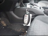 Miniaturka zdjęcia 11