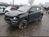 Jeep Compass Trailhawk 4X4 3C4NJDDBXJT270072 снимка