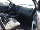 Ford Escape Xls/Xls Manual 1FMYU02Z37KA48864 fotografie