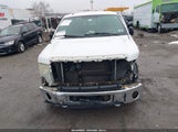 Ford F-150 Fx4/Harley-Davidson/King Ranch/Lariat/Platinum/Xl/Xlt 1FTFW1EV3AFB26645 снимка