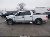 Ford F-150 Fx4/Harley-Davidson/King Ranch/Lariat/Platinum/Xl/Xlt 1FTFW1EV3AFB26645 fotografie