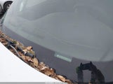 Pontiac Bonneville Se 1G2HX52L5R4271875 снимка