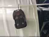 Miniaturka zdjęcia 11
